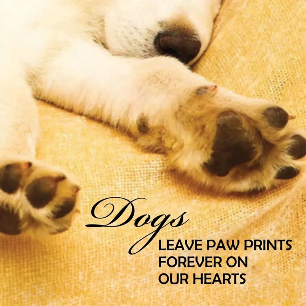 Pup Notes - 60 Notes of Dog Love & Joy